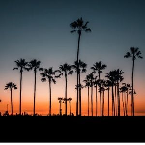 Meet your Posher, Bridget